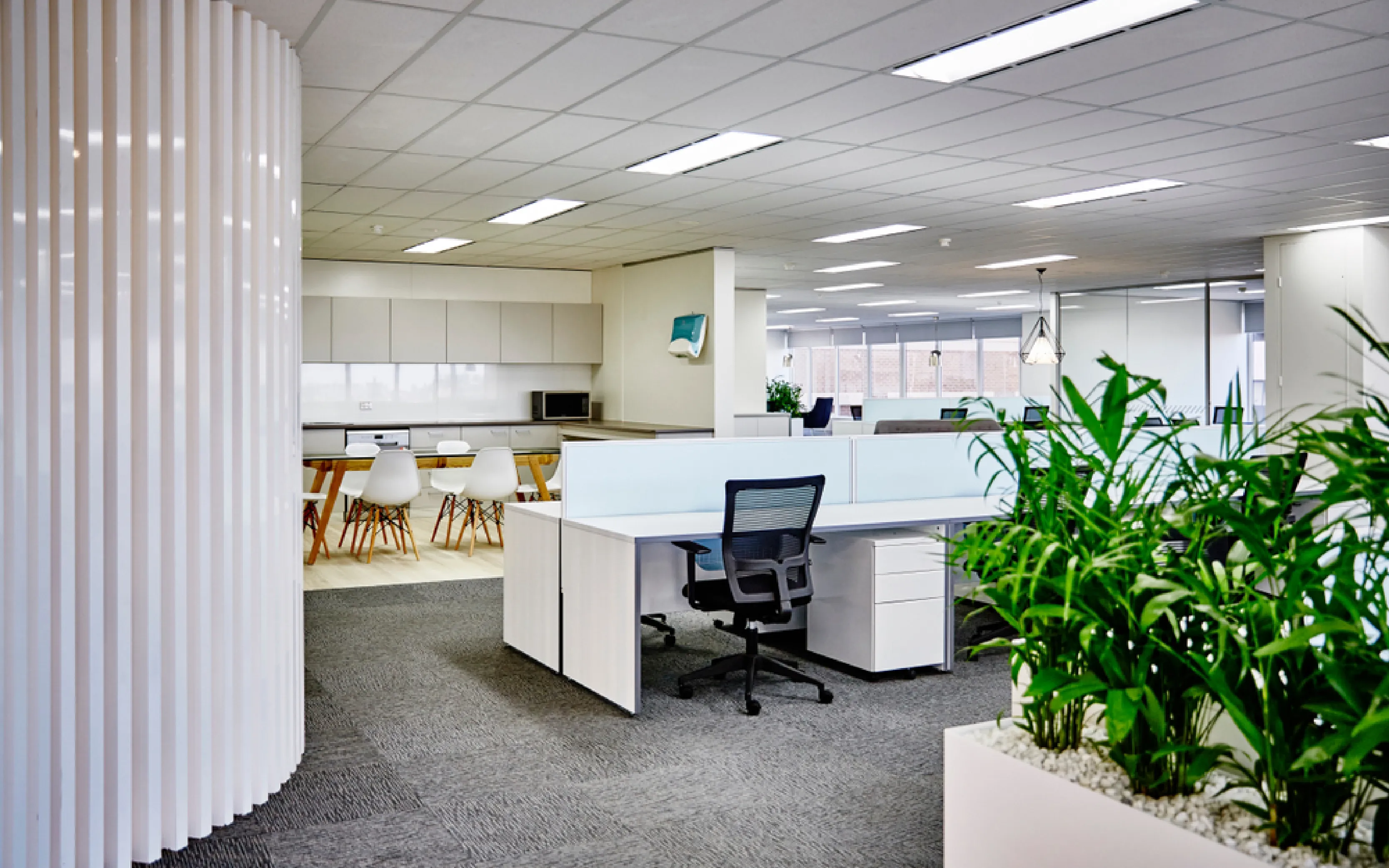 carpet cleaning in new york, carpet cleaning new york, carpet cleaners in new york, carpet cleaners in new york, commercial carpet cleaning, commercial carpet cleaning in new york, new york rug cleaners, rug cleaning services in new york, same day carpet cleaning, same day rug cleaning in new york